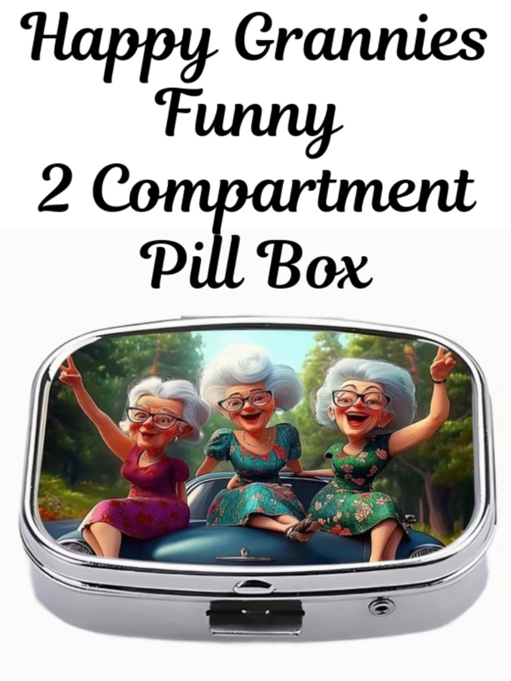 FUNNY 2 COMPARTMENT PILL BOX - 3 GRAMMIES HAVING A GREAT TIME - NWT